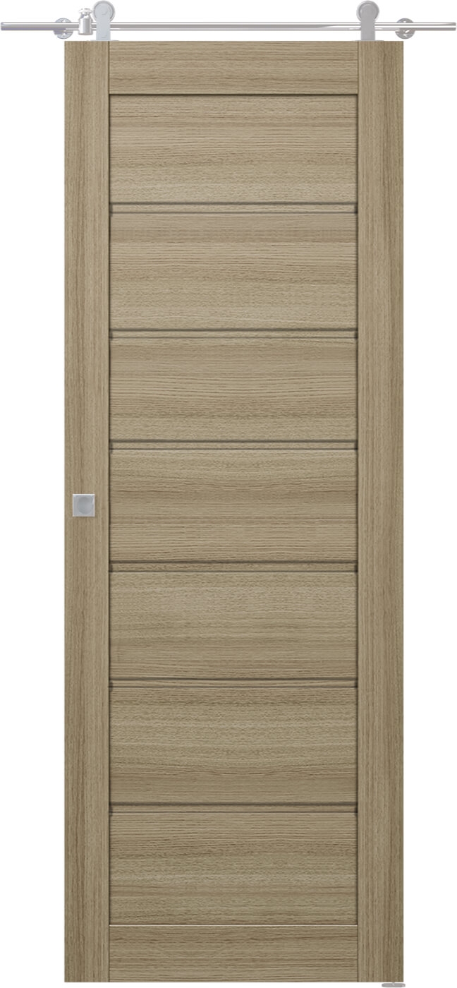 Alda Shambor Barn doors