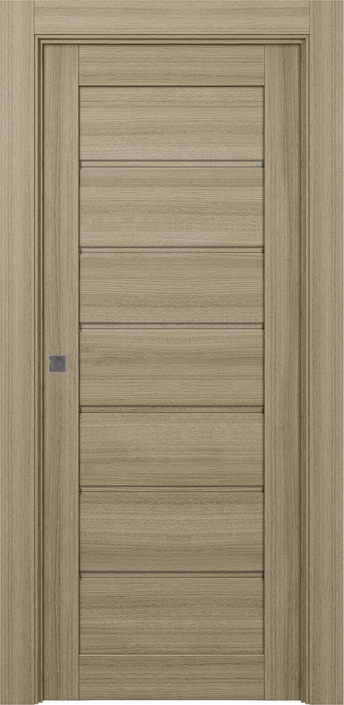 Alda Shambor Pocket doors