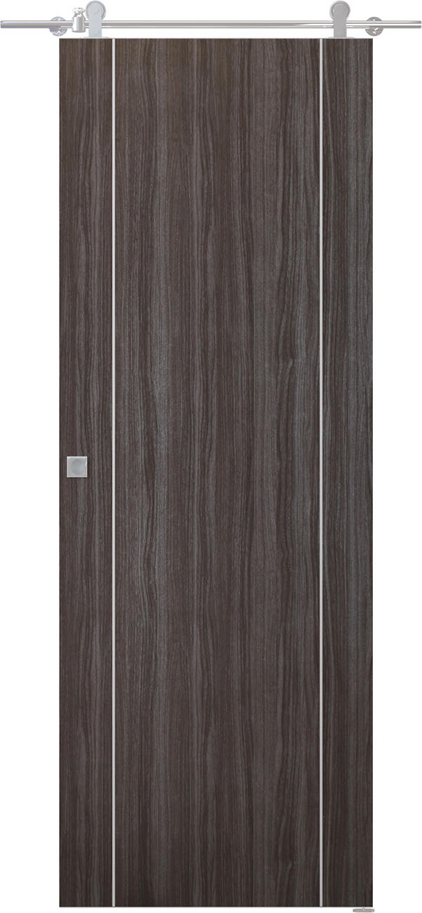 Palladio 2U Gray Oak Barn doors